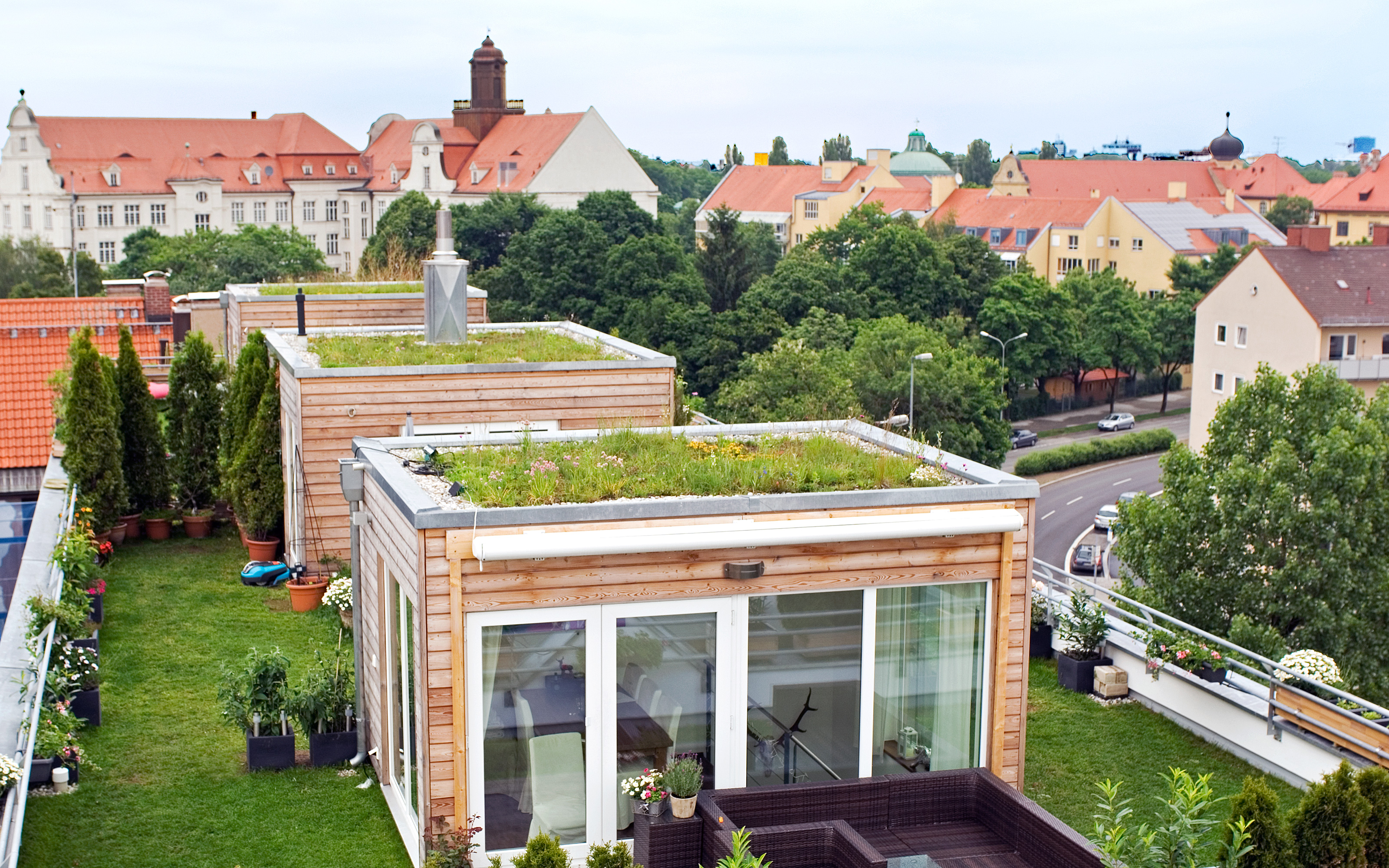 Roof garden with two cubical houses