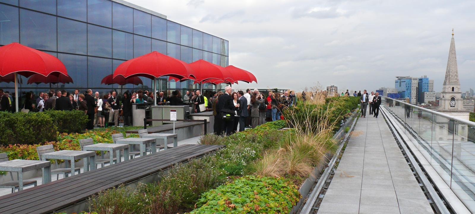 Event on a roof garden in the city