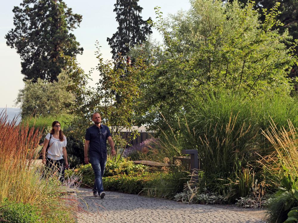 Couple takes a stroll around the lusciously vegetated park