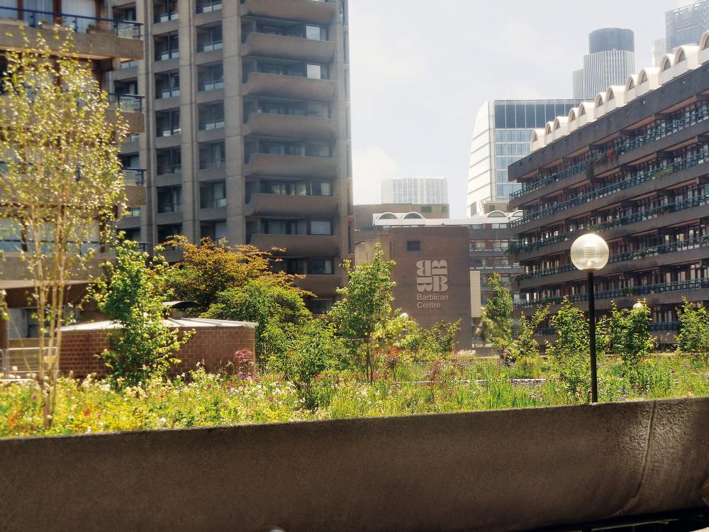 Roof garden surrounded by residential blocks