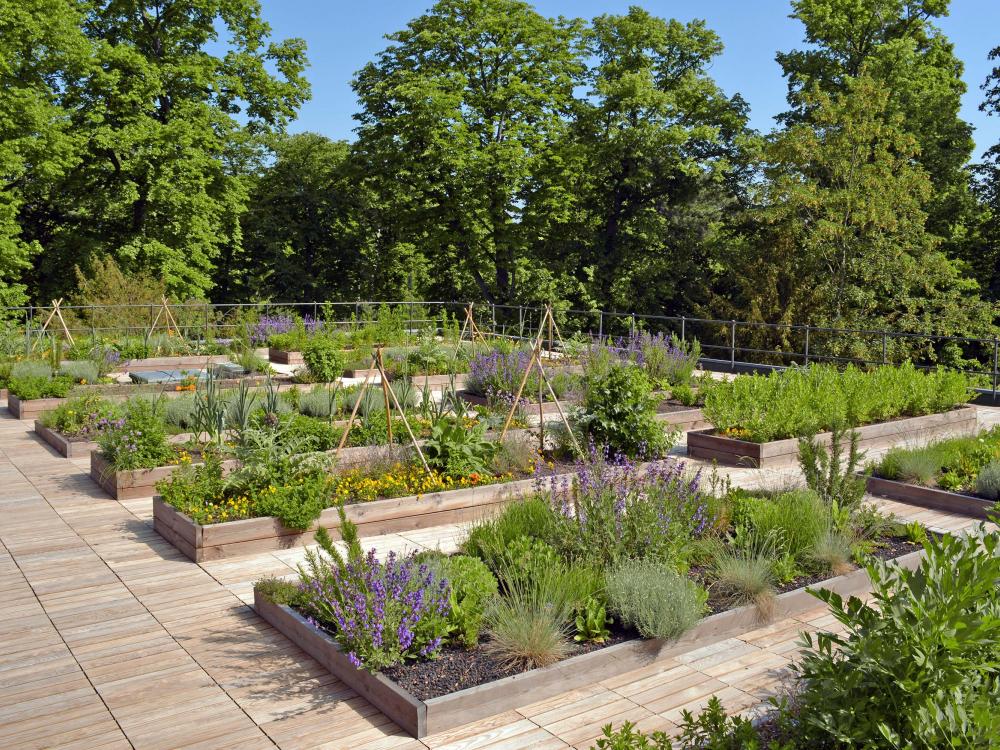 Roof garden with herb and vegetable plots