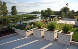White timber decking and planters with ornamental grasses