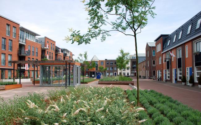 Large courtyard with plant beds and small trees, surrounded by residential buildings