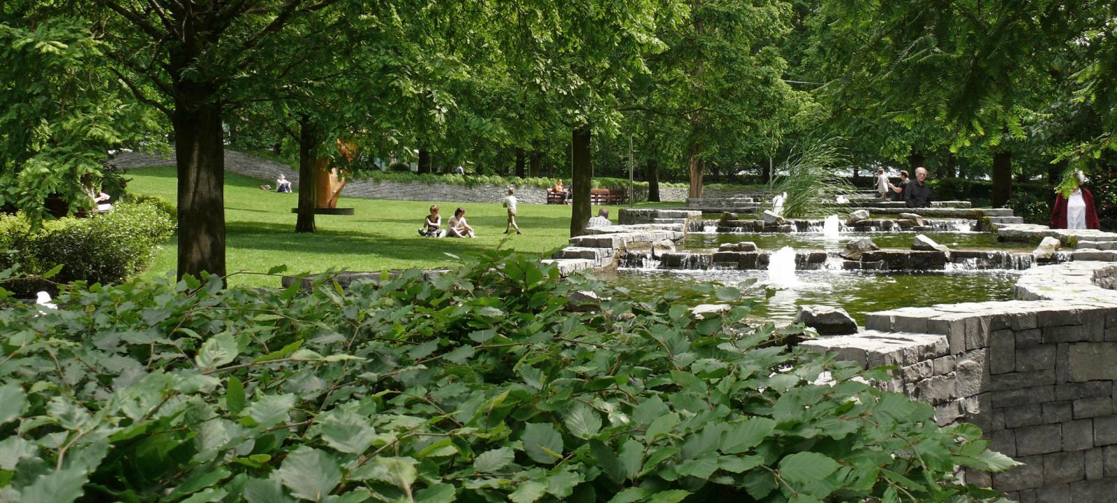 Park with trees and water basis with fountains
